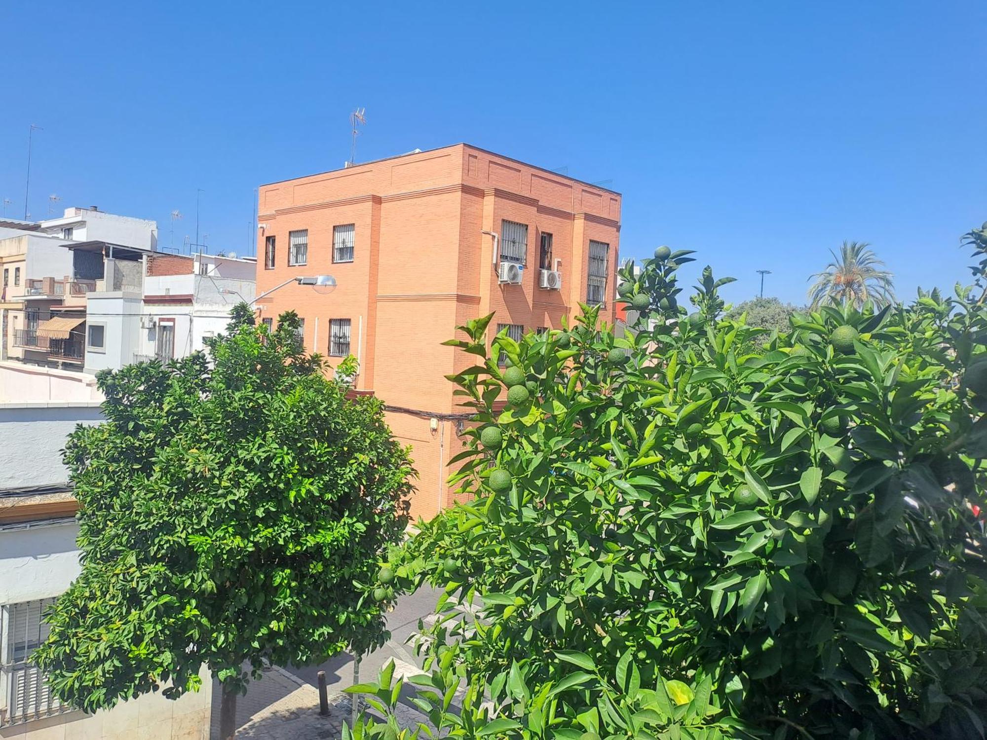 Casa Salma Apartment Seville Exterior photo